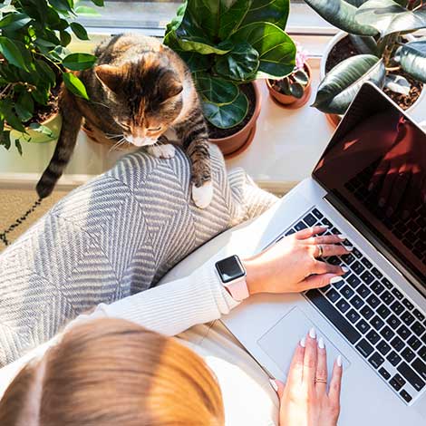 Woman and cat using laptop.